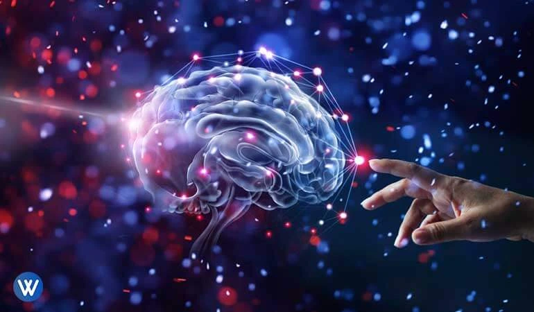 A Quick Guide on Data Science