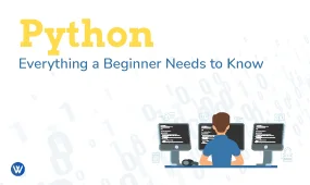 Python: Everything A Beginner Needs to Know